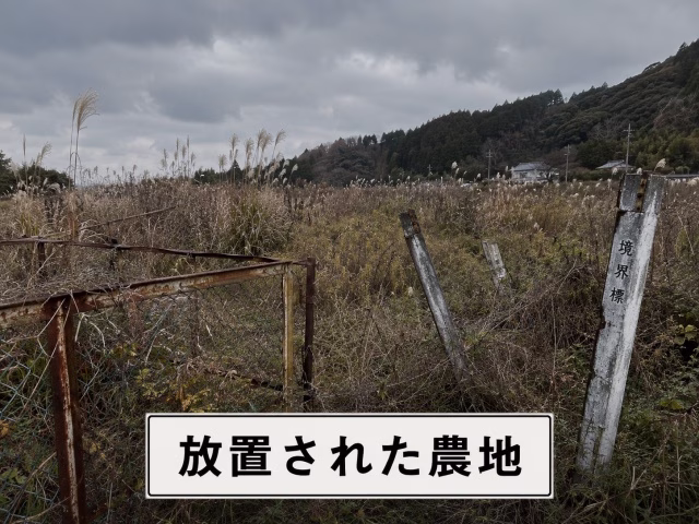 雑草が生い茂り、管理が行き届かずに負動産化していく日本の放置農地のイメージ