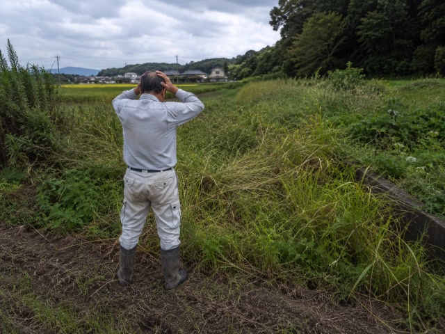 荒れた農地の境目で頭を抱える農家