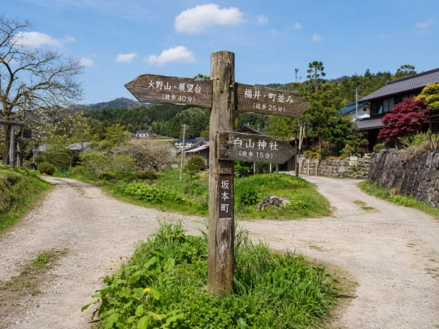 複数の選択肢を示す田舎道の分岐点