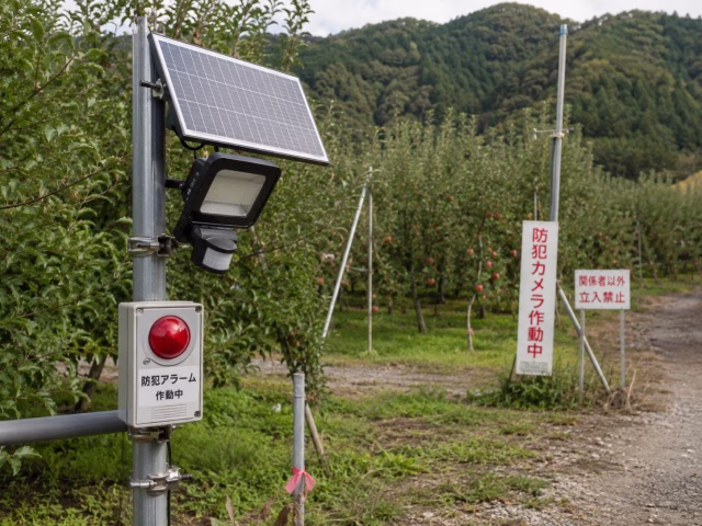 果樹園の通路脇に設置されたソーラー式センサーライトと警報器