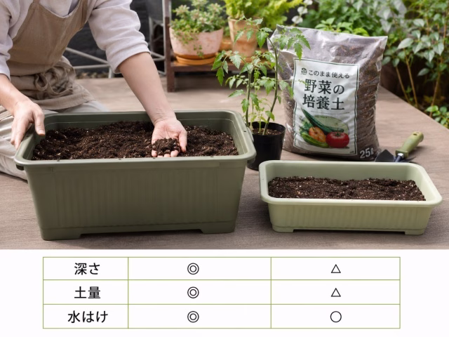 ミニトマトの寝かせ植えに使うプランターの深さや水はけを確認している様子