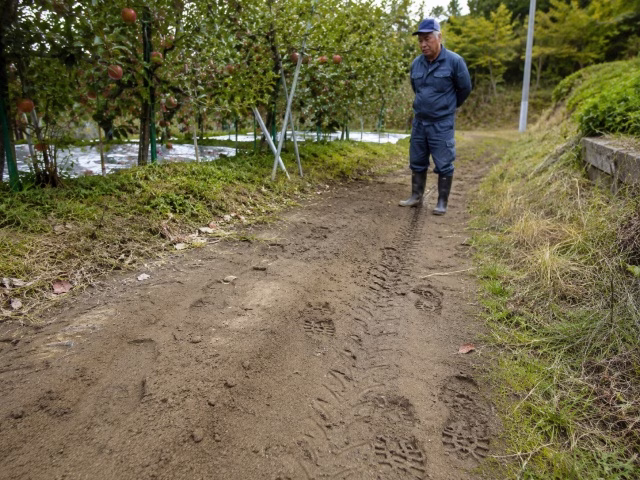農園の地面に残る足跡やタイヤ痕を離れて確認する様子