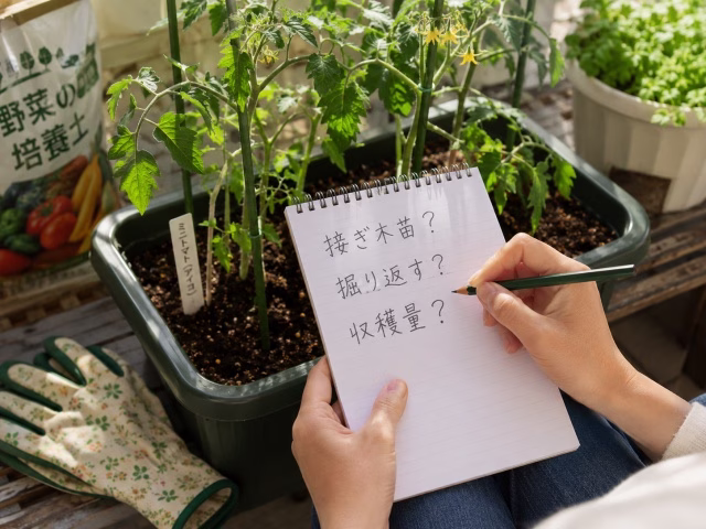 ミニトマトの寝かせ植えに関する疑問を園芸ノートにメモしている様子