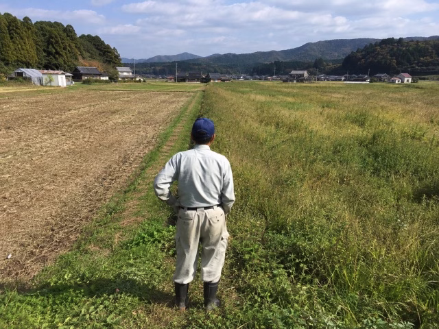 将来作付けする休耕地と当面維持管理する休耕地を比較している様子
