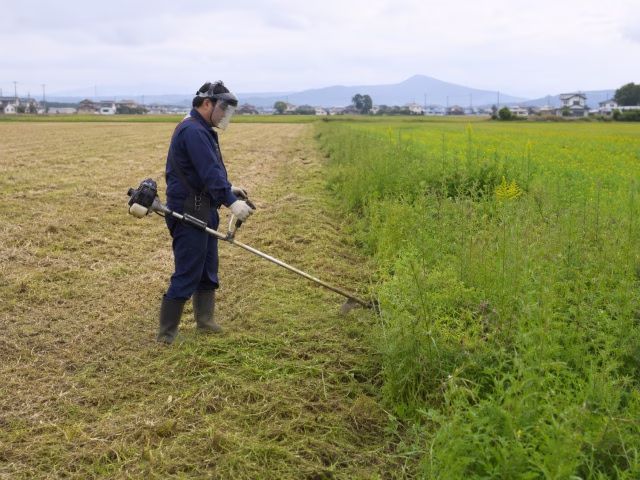 休耕地で刈払機を使って雑草を刈る農家