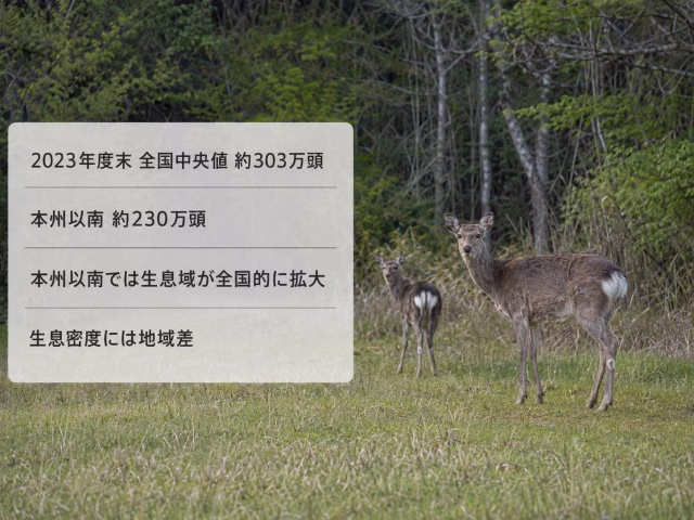 森林の近くにいるニホンジカの写真に、推定個体数と生息域に関する日本語情報パネルを重ねた実写風画像