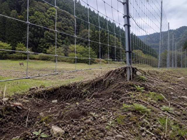 日本の農地の防護柵の下部に地形による隙間が見える実写風写真