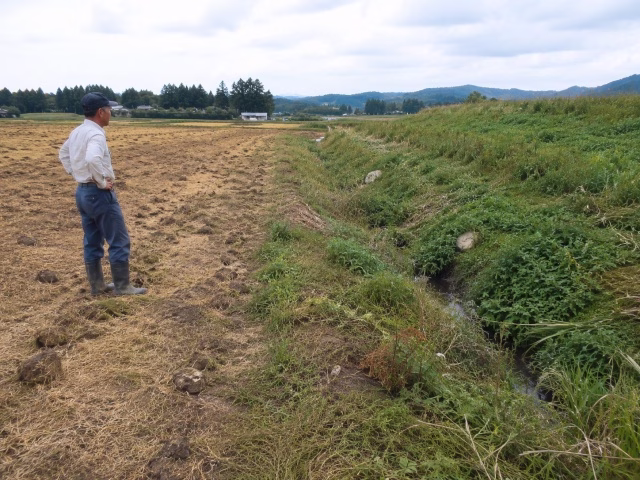 踏圧に向く平坦な土地と向かない傾斜やぬかるみのある土地の比較