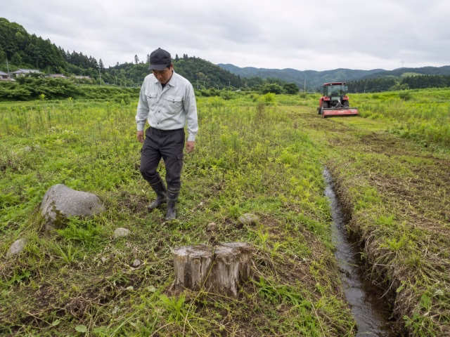 機械を入れる前に休耕地の障害物や地面を歩いて確認する農家