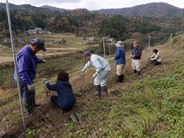 地域の複数人が広域の防護柵を一緒に点検している実写風写真