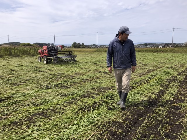 畑で雑草を倒す作業後に状態を確認する農家のイメージ