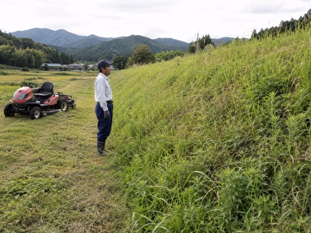 草で傾斜が見えにくい休耕田の法面を確認する農家