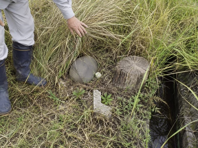 伸びた草の下に隠れた石や切り株などの障害物