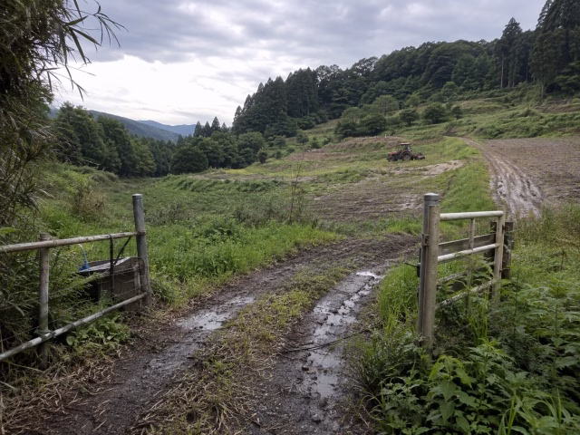 広さや傾斜や進入経路など複数条件が重なる休耕地
